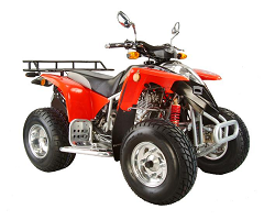 300 Extreme racing quad